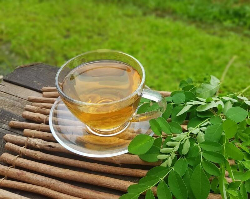 benefícios do chá de moringa